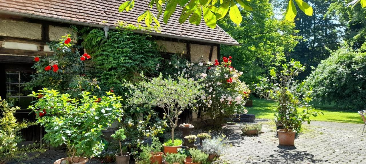 Villaflora Gaestehaus Riedlingen Esterno foto