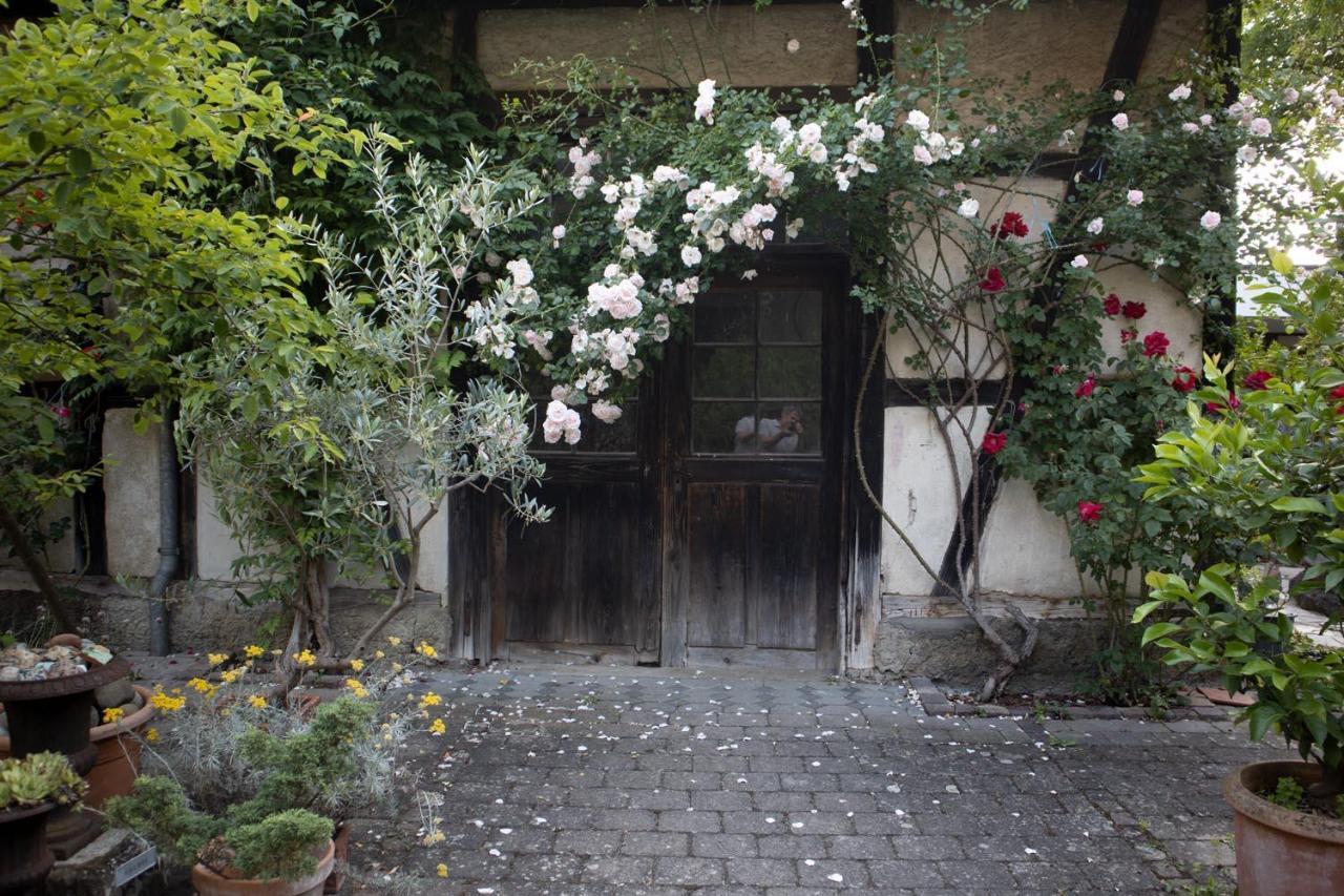 Villaflora Gaestehaus Riedlingen Esterno foto